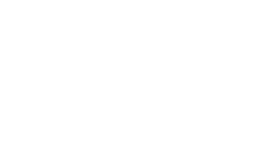 Briggs & Stratton